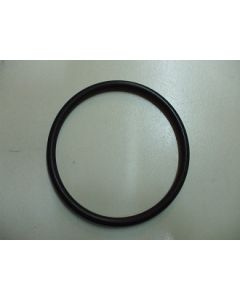 Guarnizione OR 179 75,57mm Cod. 8700025